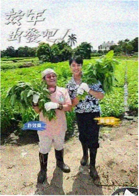 一起去露营 户外综艺在线观看